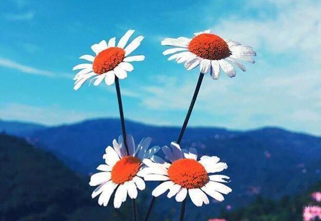 关于黑暗的正能量的句子文案