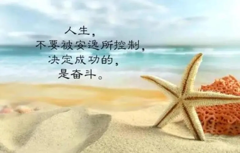 成功女人励志句子文案