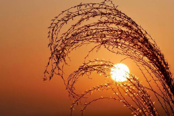 名言名句优美句子文案