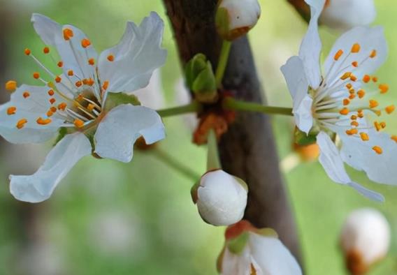 清晨激励人心的话语
