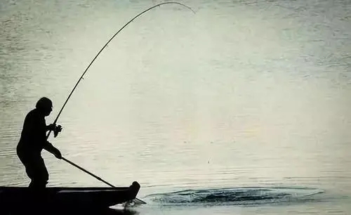 关于钓鱼的搞笑短语