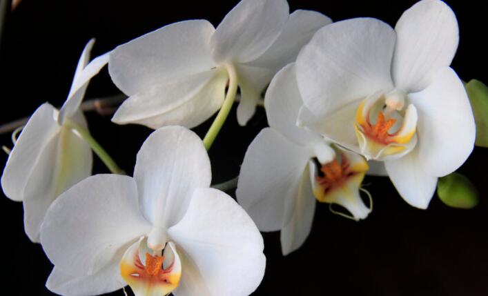 有感触的现实句子文案