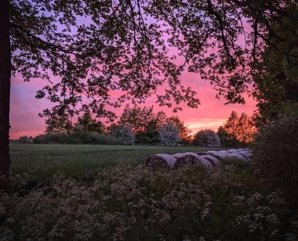 社会经典语录文案精选