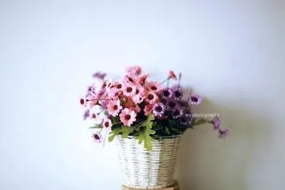 押韵的句子文案正能量