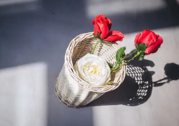 女人不易的经典语录文案