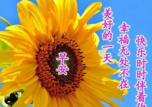 表示早安开心的说说文案