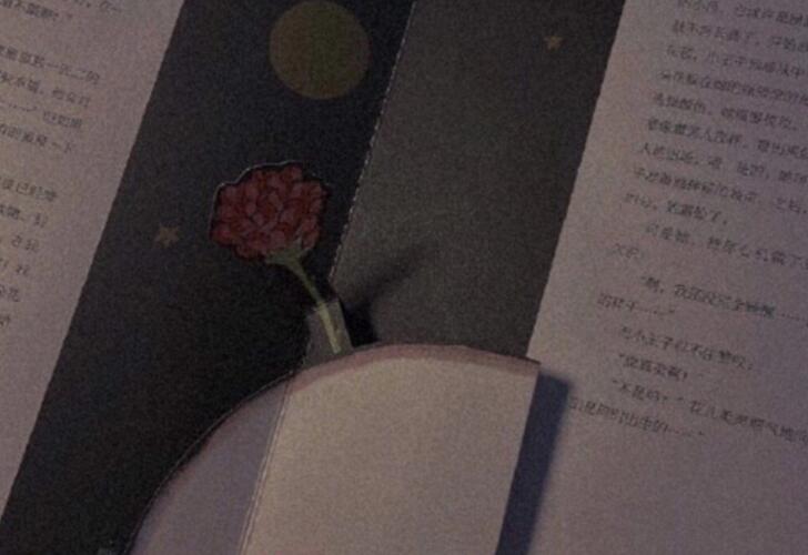 不该对你动了情的说说文案