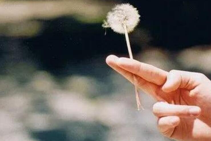 能力的语录文案