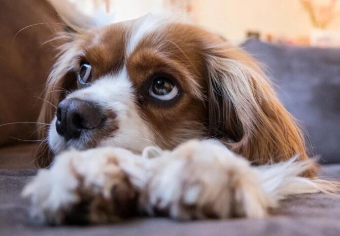 换新环境的经典说说文案