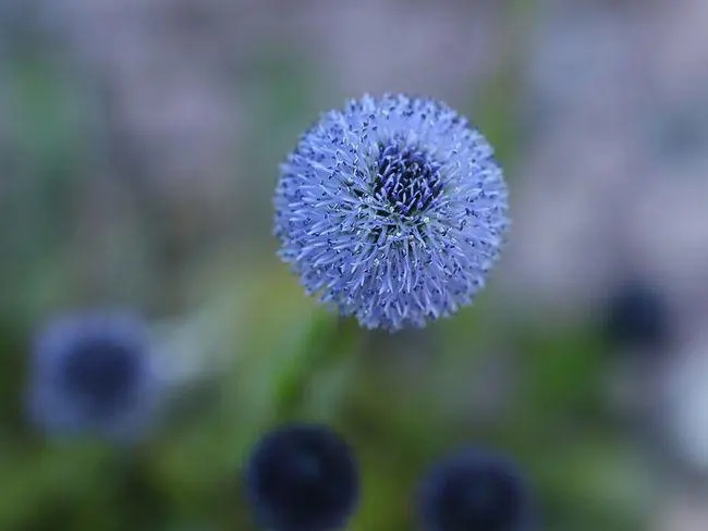 平淡人生的短句子文案