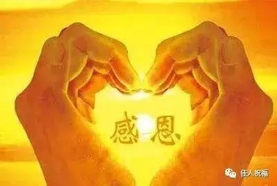 感恩节活动主题