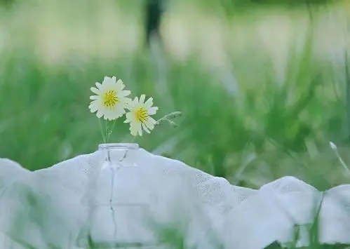 适合每个月一号发的朋友圈