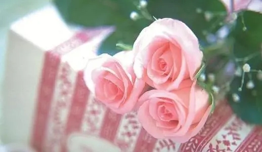 失恋的句子文案句句扎心