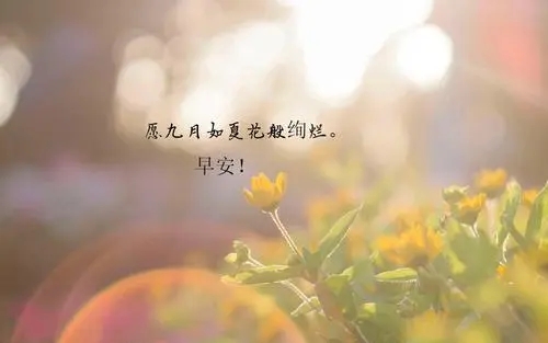 美好清晨的说说文案心情短语