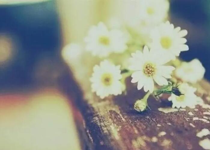 优美句子文案10字