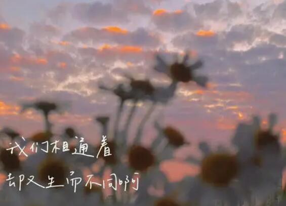 女生的快乐其实很简单文案