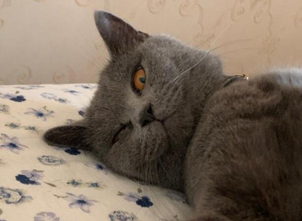 逗比朋友圈说说文案