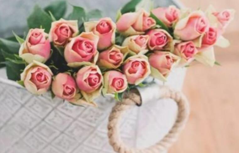 形容把心交给一个人的诗句文案