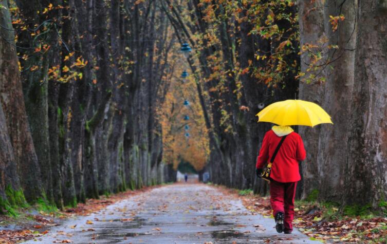 对一个人恨铁不成钢的说说文案