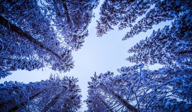 让人心寒的句子文案