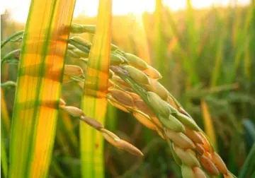 适合初秋发的朋友圈