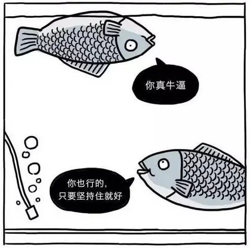 幽默的吃鱼语录文案