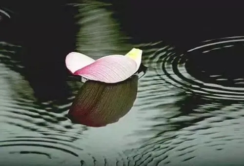 一切都是天意的句子文案