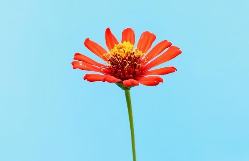 朋友圈励志的经典句子文案