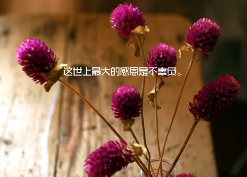 感谢多次回头客的说说文案