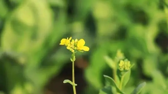 2024微信个性签名