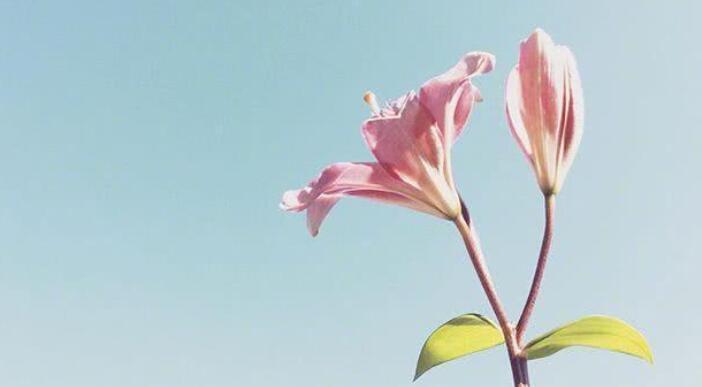 简短的人生观句子文案