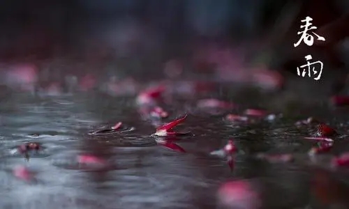 带雨的诗句文案飞花令