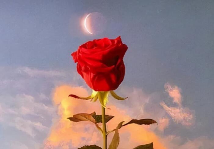 上级领导调走了祝福语