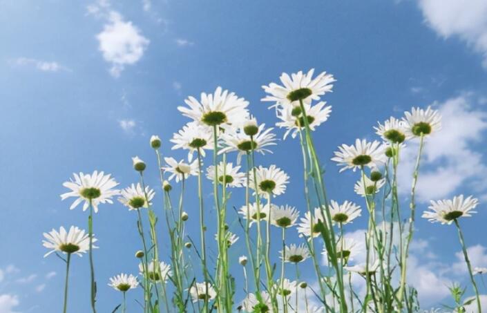 正能量人生格言座右铭