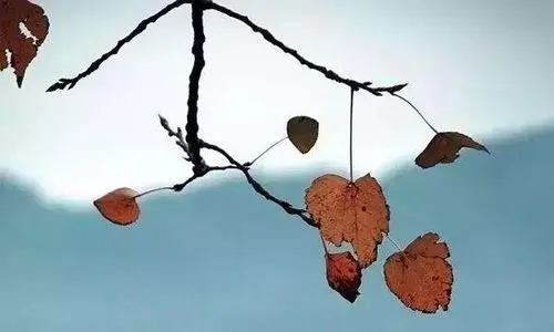 决定放手成全的句子文案