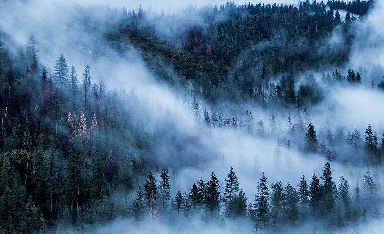 最流行发朋友圈的经典句子文案