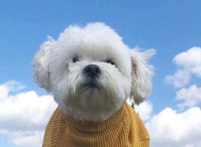 正能量的话励志的语句文案