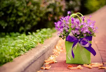 真心关心一个人的说说文案