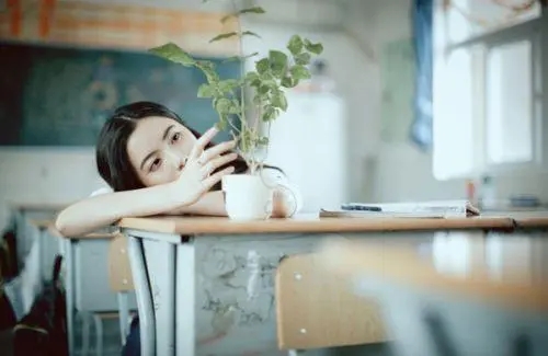 回忆往事感慨的短句