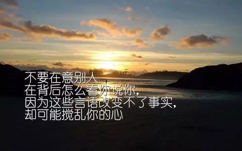 正能量政治语录文案