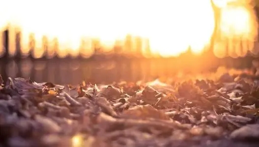 属于自己独特唯美的签名