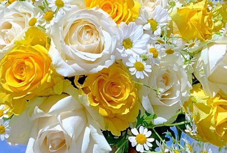 经典的感叹人生的语句文案