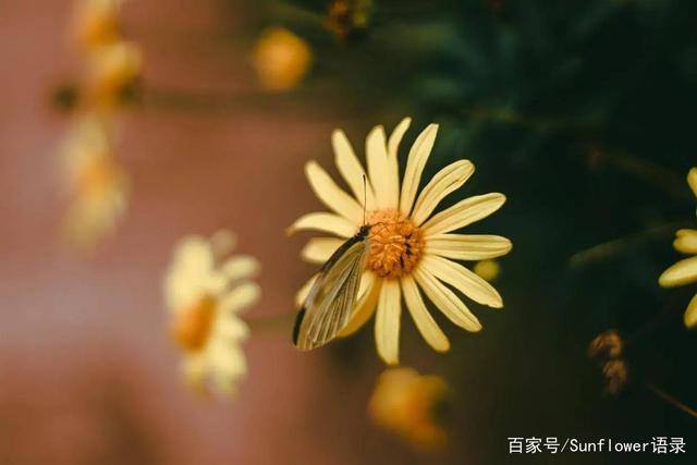 什么是成长六句话