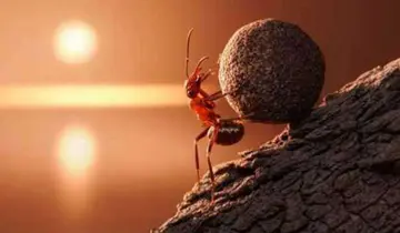 付出就有回报的句子文案