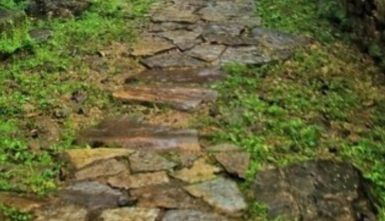 远离城市喧嚣经典语录文案