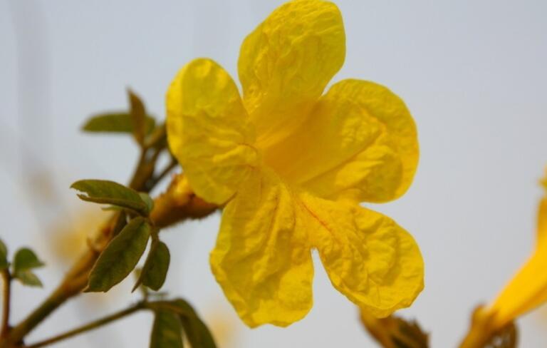 周一工作群早安问候语