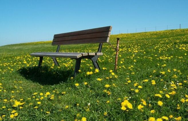 鼓励我们努力生活的鸡汤名句文案