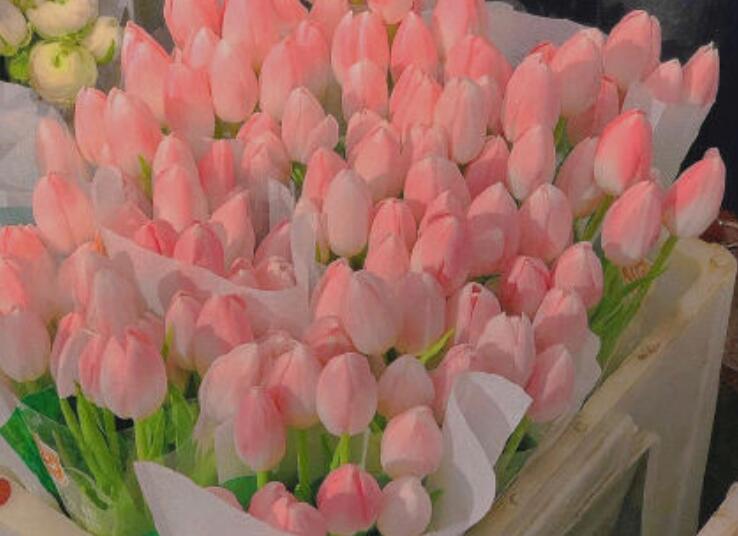 让人一眼就心动的句子文案