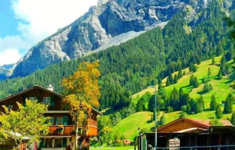 感受大自然的美好文案