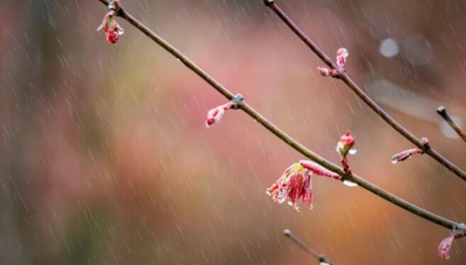 下雨天的心情经典诗词